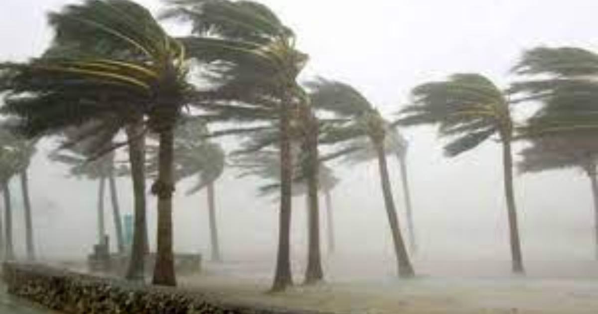 যে ৮ বিভাগে বজ্রসহ ঝড়বৃষ্টির পূর্বাভাস দিলো আবহাওয়া অধিদফতর