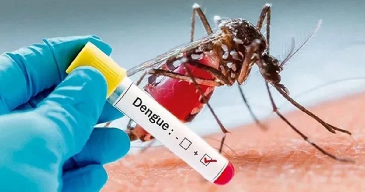 দেশে ডেঙ্গু শনাক্ত আরও বাড়ল