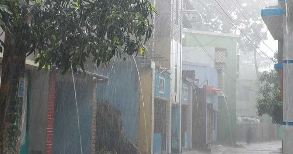 ১১ দিন পর চুয়াডাঙ্গায় স্বস্তির বৃষ্টি