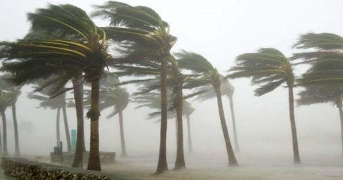 ৮০ কিমি বেগের ঝড়ের পূর্বাভাস, ১১ জেলায় হুঁশিয়ারি সংকেত
