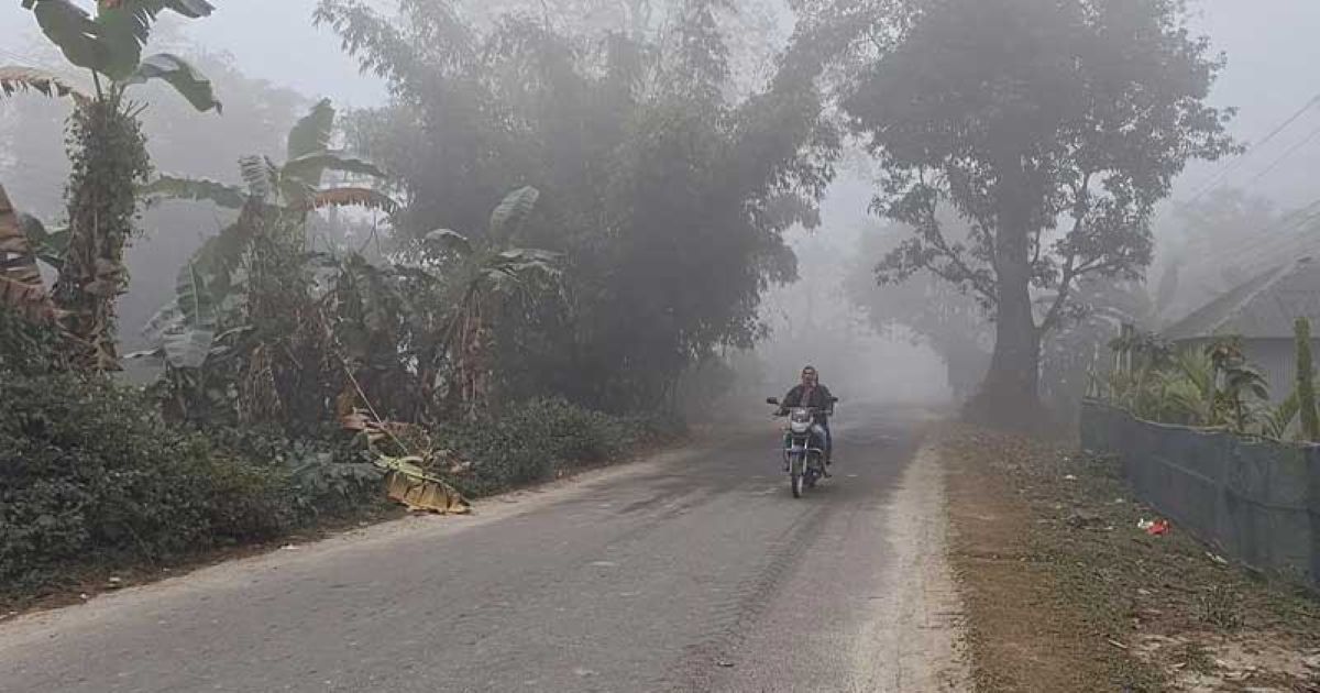 ১১.১ ডিগ্রিতে কাঁপছে তেতুলিয়া