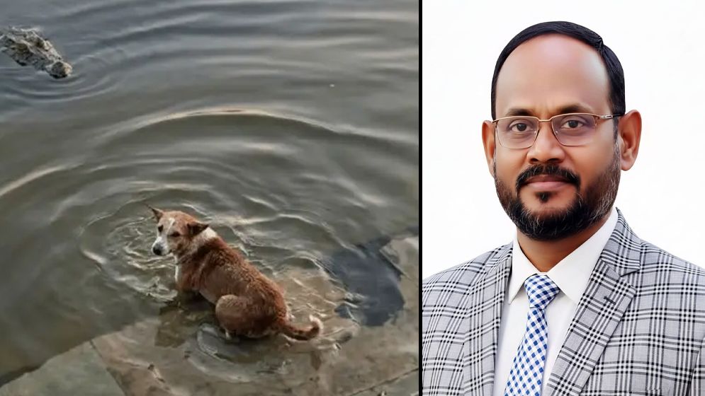 দিঘিতে কুমিরের মুখে কুকুরের মর্মান্তিক মৃত্যু: ঘটনা তদন্তের মাধ্যমে দোষীদের শাস্তির নির্দেশ প্রতিমন্ত্রী টুকুর