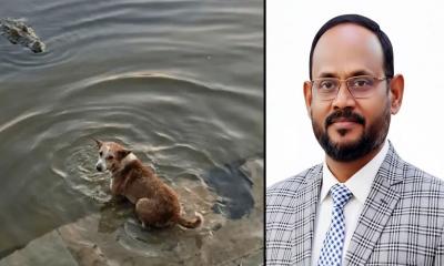 দিঘিতে কুমিরের মুখে কুকুরের মর্মান্তিক মৃত্যু: ঘটনা তদন্তের মাধ্যমে দোষীদের শাস্তির নির্দেশ প্রতিমন্ত্রী টুকুর