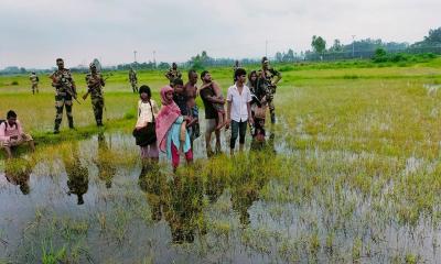 দেশহীন অপেক্ষা, সীমান্তের আইলে মানবতার দীর্ঘশ্বাস