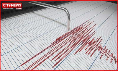 ভূমিকম্পে কাঁপল দুই দেশ