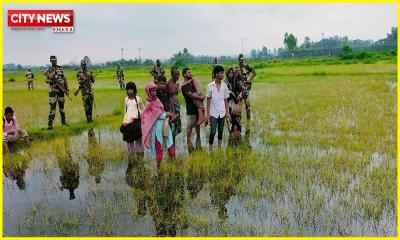 দেশহীন অপেক্ষা, সীমান্তের আইলে মানবতার দীর্ঘশ্বাস