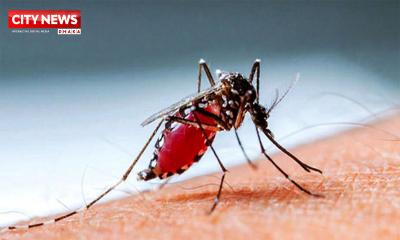 ডেঙ্গু আক্রান্ত হয়ে হাসপাতালে আরও ২১৯ রোগী
