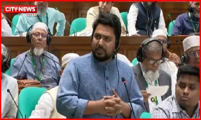 সংসদের কার্যক্রম দেখলে মনে হচ্ছে গণভোট হয়নি : নাহিদ