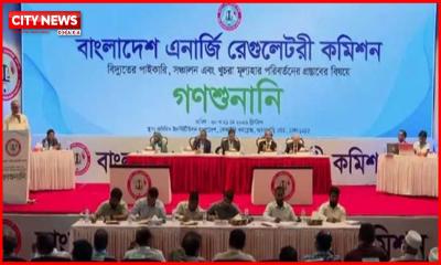 বিদ্যুতের দাম ২১ শতাংশ বাড়ানোর প্রস্তাব, ভোক্তার বিরোধিতা