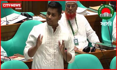 আমি ভিক্ষা চাই এই সংসদের কাছে, কেন বললেন হাসনাত আবদুল্লাহ