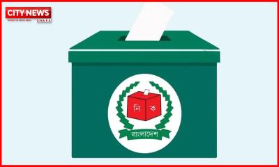 স্থানীয় সরকার নির্বাচনে ভোট দিতে পারবেন না প্রবাসীরা