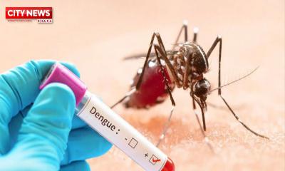 ডেঙ্গুতে মৃত্যু ৪০০ ছাড়ালো