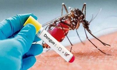 ডেঙ্গুতে আরও ২ জনের মৃত্যু, হাসপাতালে ৩৯৬
