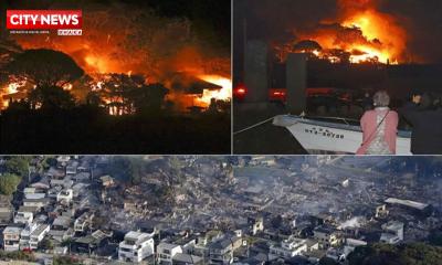 জাপানে ভয়াবহ অগ্নিকাণ্ড: পুড়েছে ১৭০টির বেশি ভবন