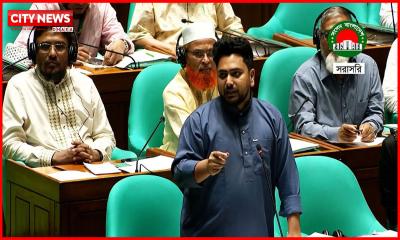 স্থায়ী কমিটিগুলোকে কোনোভাবেই অকার্যকর করার চেষ্টা না করা হোক: নাহিদ