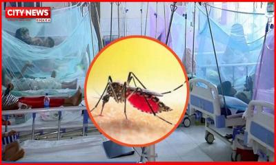 ডেঙ্গুতে আরও ৬ জনের মৃত্যু, হাসপাতালে নতুন ভর্তি ১৫৬১