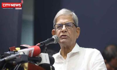 সব দলকে নির্বাচনে আসার আহ্বান মির্জা ফখরুলের