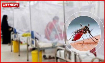 ২৪ ঘণ্টায় ডেঙ্গুতে আরও ৩ জনের মৃত্যু, হাসপাতালে ৪৫৮