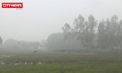 তেঁতুলিয়ার তাপমাত্রা নেমেছে ১২.৮ ডিগ্রি সেলসিয়াসে