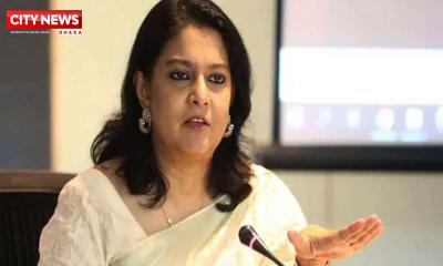 সরকার দুই-আড়াই মাস আছে, ভালো দৃষ্টান্ত রেখে যাব: পরিবেশ উপদেষ্টা