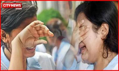 এইচএসসিতে ২৯৩ প্রতিষ্ঠানে পাশ করেনি কেউ