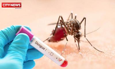 ডেঙ্গুতে আরও ৬ জনের প্রাণহানি