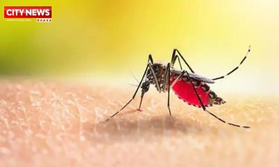ডেঙ্গুতে একদিনে ৭ জনের মৃত্যু