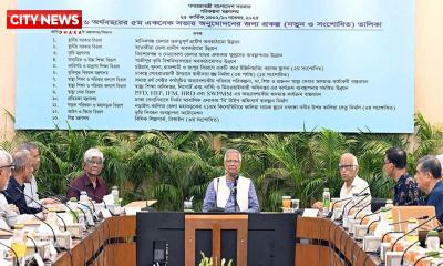 স্বাধীনতা স্তম্ভের সংশোধনীসহ ১২ প্রকল্প একনেকে অনুমোদন