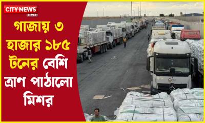 গাজায় ৩ হাজার ১৮৫ টনের বেশি ত্রাণ পাঠালো মিশর
