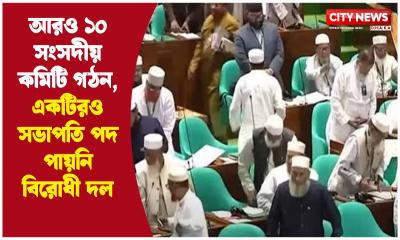 আরও ১০ সংসদীয় কমিটি গঠন, একটিরও সভাপতি পদ পায়নি বিরোধী দল