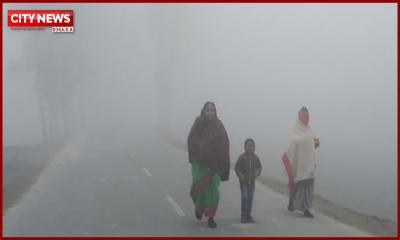শৈত্যপ্রবাহ ও ঘন কুয়াশা নিয়ে অধিদপ্তরের নতুন বার্তা