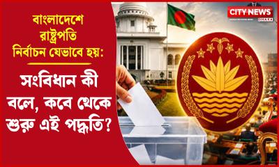 বাংলাদেশে রাষ্ট্রপতি নির্বাচন যেভাবে হয়: সংবিধান কী বলে, কবে থেকে শুরু এই পদ্ধতি?