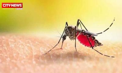 ডেঙ্গুতে আরও ৫ জনের মৃত্যু, হাসপাতালে ১১৩৯