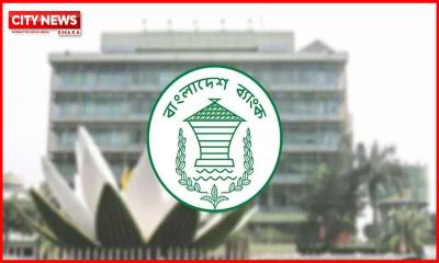 ৬০ হাজার কোটি টাকা কৃষিঋণ বিতরণের লক্ষ্য, মিলবে উট পালনেও