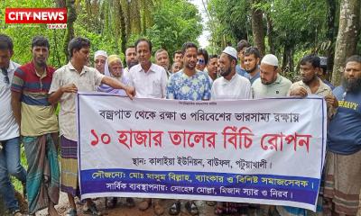 বাউফলে সড়কে ১০ হাজার তালের বীজ রোপণ