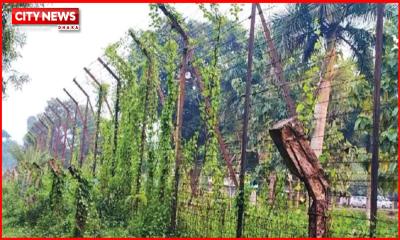 সীমান্তে বিএসএফের গুলিতে দুই বাংলাদেশি নিহত