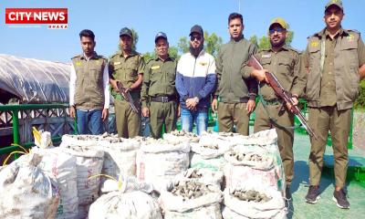 সাতক্ষীরার শ্যামনগরে বিপুল পরিমাণ ঝিনুক ও শামুক উদ্ধার