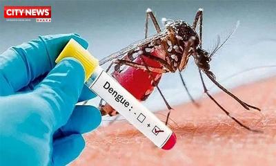 ডেঙ্গুতে আরও ৩ জনের মৃত্যু, হাসপাতালে ৪০৮