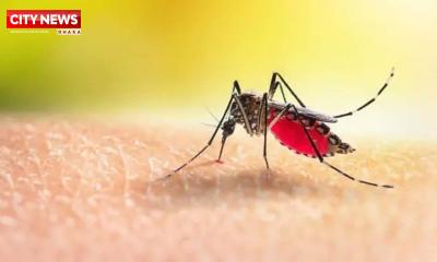 ডেঙ্গুতে আরও ৫ মৃত্যু, হাসপাতালে ৭৯২ জন