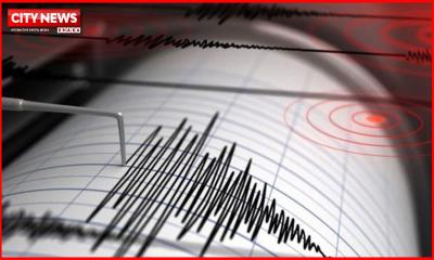 ভোররাতে ভূমিকম্পে কাঁপলো দেশ