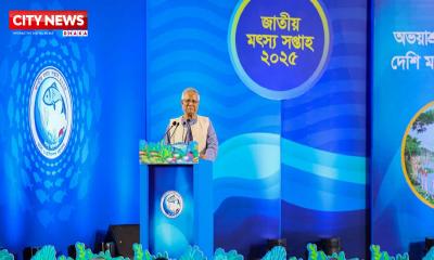 We must protect nature to keep fish in our waters: Prof Yunus