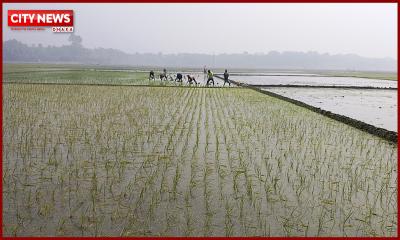 সাতক্ষীরায় 