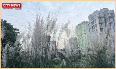 Dhaka ranks fourth in air pollution today