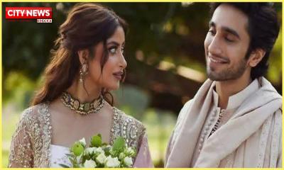 জনপ্রিয় পাকিস্তানি জুটির বিয়ের ঘোষণার অপেক্ষায় ভক্তরা