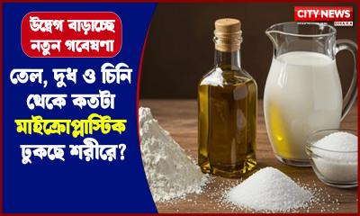 তেল, দুধ ও চিনি থেকে কতটা মাইক্রোপ্লাস্টিক ঢুকছে শরীরে?