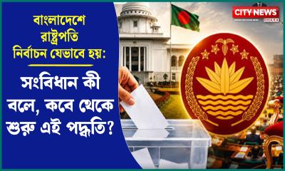 বাংলাদেশে রাষ্ট্রপতি নির্বাচন যেভাবে হয়: সংবিধান কী বলে, কবে থেকে শুরু এই পদ্ধতি?