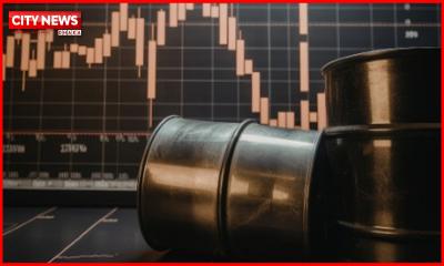 ইসরাইল-লেবানন যুদ্ধবিরতির পর আরও কমল তেলের দাম