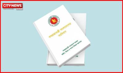 সংবিধান সংস্কার নয়, সংশোধন চায় বিএনপি