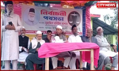 নির্বাচিত হলে চাঁদাবাজি ও দখল বন্ধের প্রতিশ্রুতি: আশাশুনিতে রবিউল বাশার