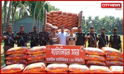 বিজিবি ও র‍্যাবের যৌথ অভিযানে ১০ টন ভারতীয় জিরাসহ ট্রাক আটক, গ্রেপ্তার ৩